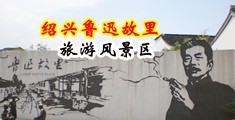 日逼高清网站中国绍兴-鲁迅故里旅游风景区